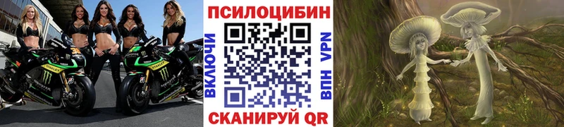 omg вход  купить  сайты  Боготол  Галлюциногенные грибы Psilocybe 